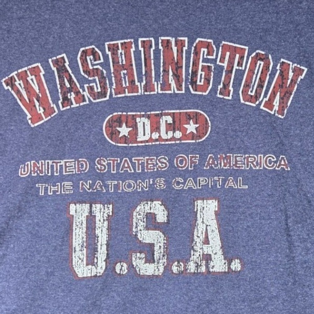 Delta Pro Weight T-Shirt Mens XL Blue Washington DC USA Graphic Souvenir Tee